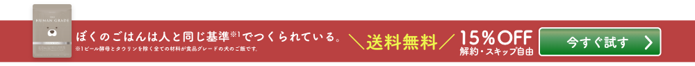 今すぐ試す