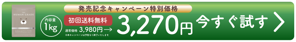今すぐ試す