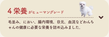 4 栄養がヒューマングレード
          毛並み、におい、腸内環境、目元、血流などわんちゃんの健康に必要な栄養を詰め込みました。
          