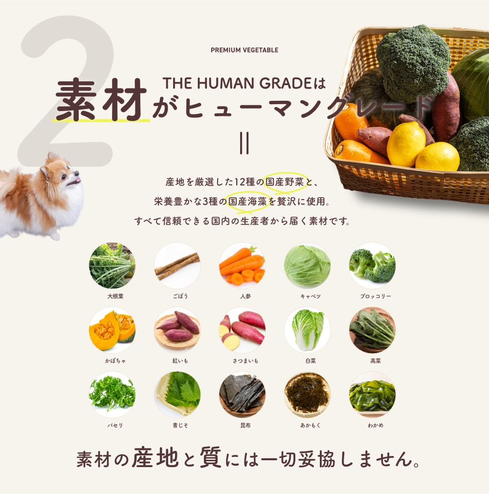 2 THE HUMAN GRADEは素材がヒューマングレード
      産地を厳選した12種の国産野菜と、栄養豊かな3種の国産海藻を贅沢に使用。すべて信頼できる国内の生産者から届く素材です。
      素材の産地と質には一切妥協しません。
