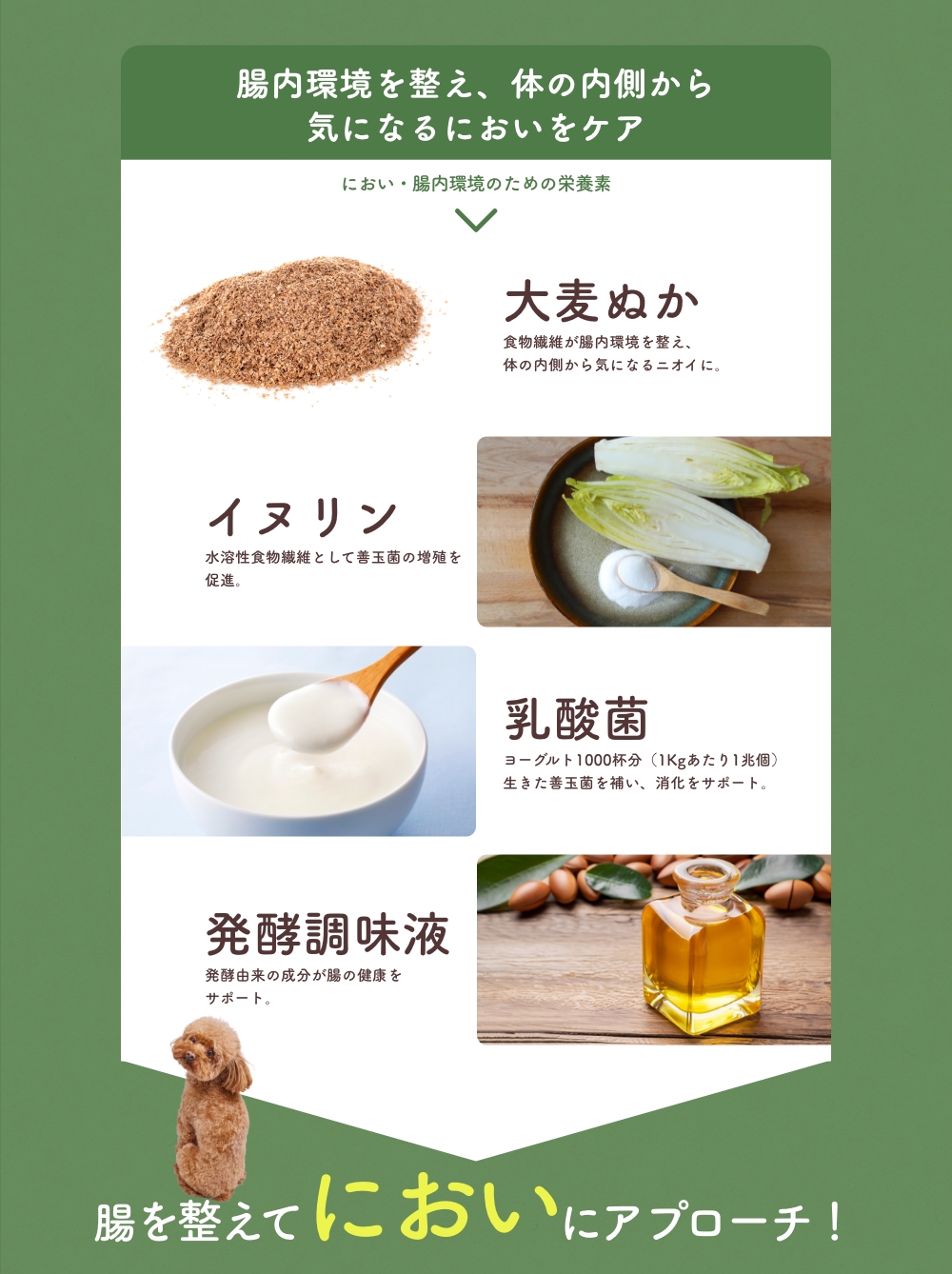 腸内環境を整え、体の内側から気になるにおいをケア
      大麦ぬか / イヌリン / 乳酸菌 / 発酵調味液 が腸を整えてにおいにアプローチ！