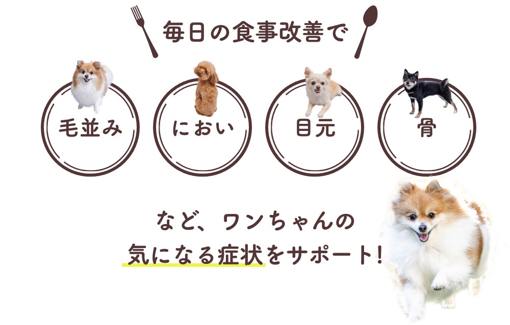 毎日の食事改善で毛並み、におい、目元、骨など、ワンちゃんの気になる症状をサポート！