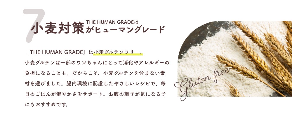7 THE HUMAN GRADEは小麦対策がヒューマングレード
      「THE HUMAN GRADE」は小麦グルテンフリー。
小麦グルテンは一部のワンちゃんにとって消化やアレルギーの負担になることも。だからこそ、小麦グルテンを含まない素材を選びました。腸内環境に配慮したやさしいレシピで、毎日のごはんが健やかさをサポート。お腹の調子が気になる子にもおすすめです。