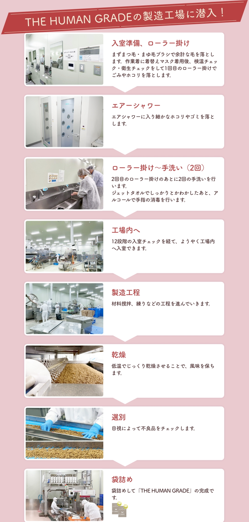 THE HUMAN GRADEの製造工場に潜入！
        入室準備、ローラー掛け→エアーシャワー→ローラー掛け〜手洗い（2回）→工場内へ→製造工程→乾燥→選別→袋詰め