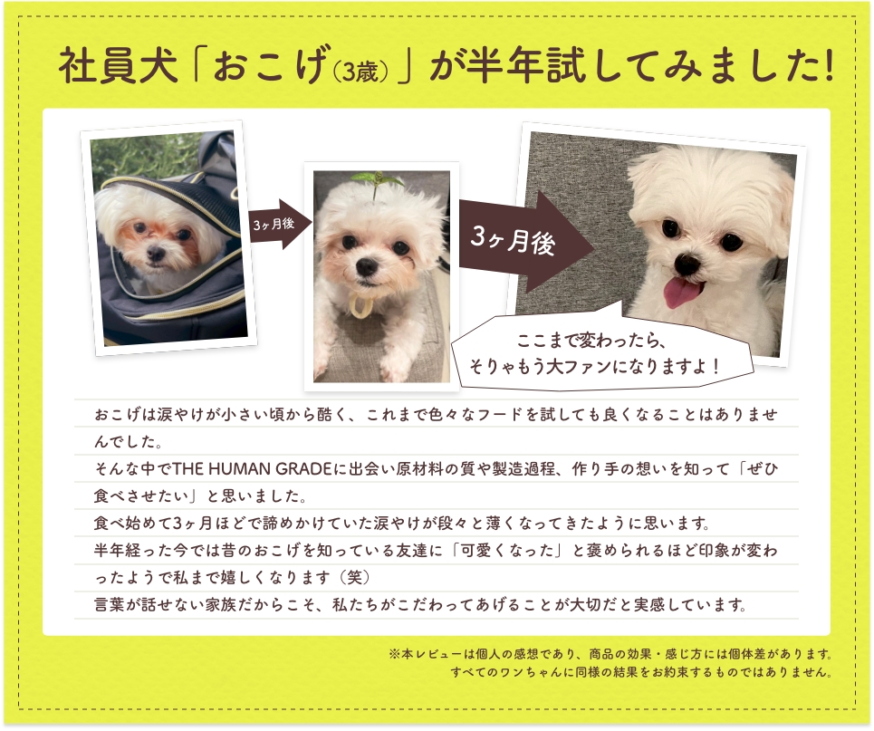 社員犬「おこげ（3歳）」が半年試してみました!
      おこげは涙やけが小さい頃から酷く、これまで色々なフードを試しても良くなることはありませんでした。
そんな中でTHE HUMANGRADEに出会い原材料の質や製造過程、作り手の想いを知って「ぜひ食べさせたい」と思いました。
食べ始めて3ヶ月ほどで諦めかけていた涙やけが段々と薄くなってきたように思います。
半年経った今では昔のおこげを知っている友達に「可愛くなった」と褒められるほど印象が変わったようで私まで嬉しくなります（笑）
言葉が話せない家族だからこそ、私たちがこだわってあげることが大切だと実感しています。
※本レビューは個人の感想であり、商品の効果・感じ方には個体差があります。すべてのワンちゃんに同様の結果をお約束するものではありません。