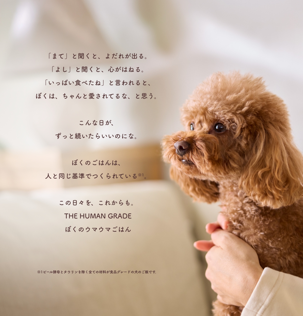 「まて」と聞くと、よだれが出る。
「よし」と聞くと、心がはねる。
「いっぱい食べたね」と言われると、
ぼくは、ちゃんと愛されてるな、と思う。

こんな日が、
ずっと続いたらいいのにな。

ぼくのごはんは、
人と同じ基準でつくられている※1。

この日々を、これからも。
THE HUMAN GRADE
ぼくのウマウマごはん

※1ビール酵母とタウリンを除く全ての材料が食品グレードの犬のご飯です。